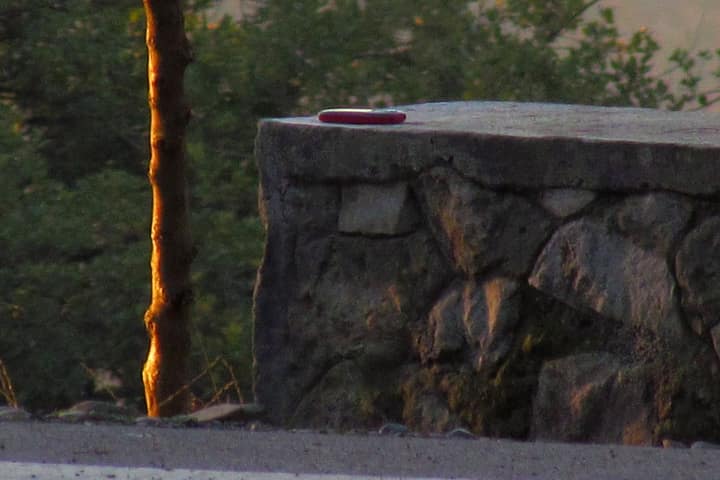 A phone left on a low stone wall beside a bare tree in the evening light.